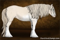 Horse Color:Perlino Sabino  and Perlino Sabino 