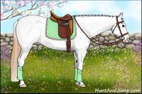 Horse Color:Buckskin Tobiano Blanket 