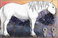 Horse Color:Gray White Spotted Buckskin Sabino Rabicano