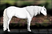 Horse Color:Perlino Dun Tobiano Appaloosa Rabicano 