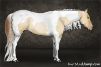 Horse Color:Bay Pearl Dun Tobiano Rabicano 
