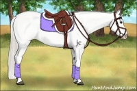 Horse Color:White Spotted Silver Grullo Appaloosa