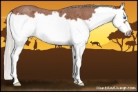 Horse Color:Silver Bay Roan Splash Frame 