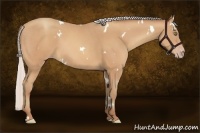 Horse Color:White Spotted Silver Amber Champagne