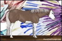 Horse Color:Silver Black Splash