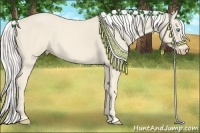 Horse Color:Cremello 