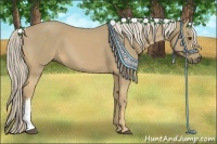 Horse Color:Palomino 