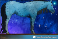 Horse Color:ERROR: UNKNOWN ANOMALY