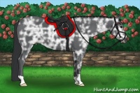 Horse Color:Black Ice 