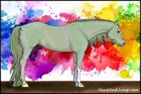 Horse Color:Watercolor Chestnut 