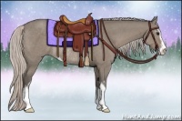 Horse Color:Silver Grullo Sabino Rabicano