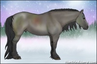 Horse Color:Grullo 