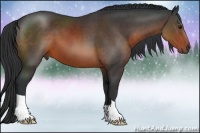 Horse Color:Brown 