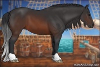 Horse Color:Brown 