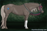 Horse Color:Silver Black 