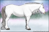 Horse Color:Black Ice Sabino Splash Appaloosa 