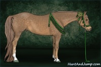 Horse Color:Chocolate Palomino Sabino