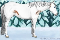 Horse Color:White Spotted Bay Splash Tobiano