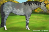 Horse Color:Black Ice 