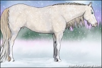 Horse Color:Perlino Ice Splash 