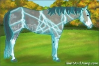 Horse Color:Thunderstruck Grullo Ice Splash 