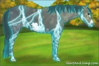 Horse Color:Thunderstruck Black Ice Frame 