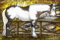 Horse Color:Liver Chestnut Frame 