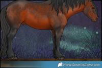 Horse Color:Brown Rabicano