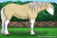 Horse Color:White Spotted Silver Buckskin Splash 