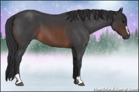 Horse Color:Brown Roan Sabino