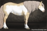 Horse Color:Palomino Dun Sabino Frame Rabicano