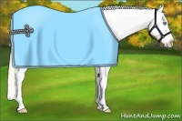 Horse Color:Perlino Sabino Splash Frame Appaloosa