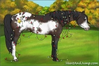 Horse Color:Bay Frame Appaloosa 