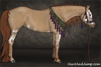 Horse Color:Red Dun Splash  Brindle