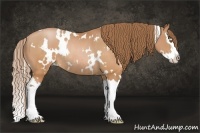 Horse Color:White Spotted Brown Pearl Splash Rabicano