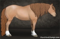 Horse Color:Brown Pearl 