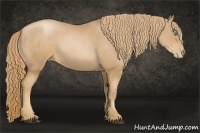 Horse Color:Chestnut Pearl Sabino Rabicano