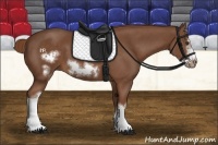 Horse Color:Chestnut Frame 