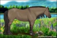 Horse Color:Liver Red Dun 