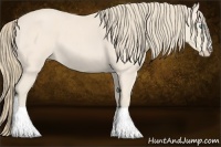 Horse Color:Perlino Roan