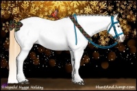 Horse Color:Buckskin Dun Appaloosa 