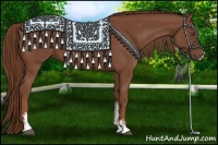Horse Color:Chestnut Sabino