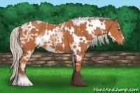 Horse Color:White Spotted Silver Bay Ice