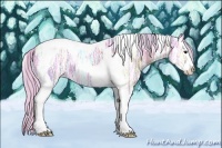 Horse Color:Watercolor Silver Black Ice Splash Tobiano