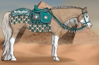 Horse Color:Silver Buckskin Roan Splash 