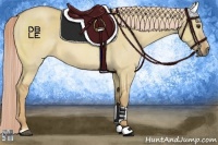 Horse Color:Palomino Dun Sabino
