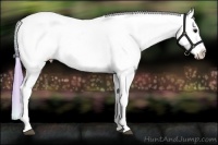 Horse Color:Watercolor Smoky Black Ice Tobiano Appaloosa 