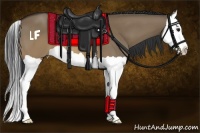 Horse Color:Brown Dun Splash 