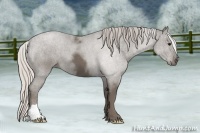 Horse Color:Silver Smoky Black 