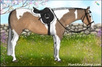 Horse Color:Brown Dun Splash Tobiano 